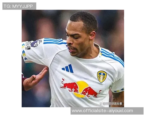 布伦特福德对阵利兹联精彩直播全程回顾与赛后分析